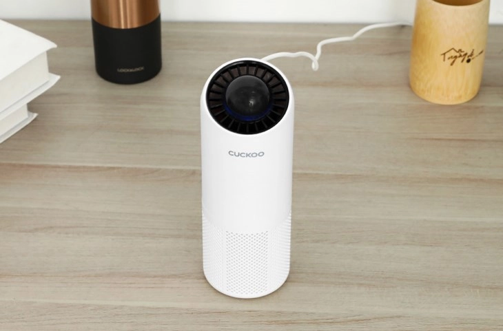 người đang xem xét các mẫu máy lọc không khí ô tô trên bàn
