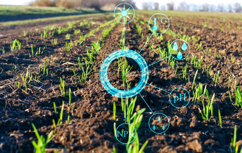 cảm biến IoT thu thập dữ liệu về độ ẩm đất 