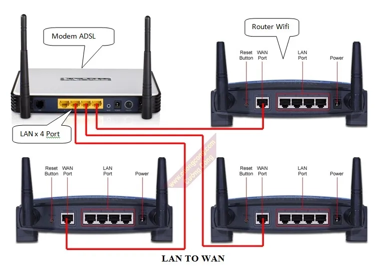 Các cổng kết nối quan trọng như WAN và LAN của router wifi
