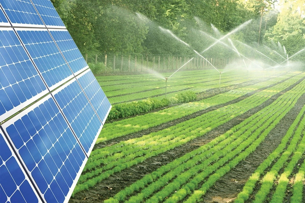 AI giải quyết biến đổi khí hậu giúp nông dân tối ưu hóa tưới tiêu và giảm hóa chất