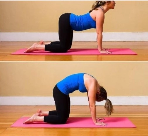 Bài tập thở, yoga đơn giản giúp cải thiện hỗ trợ giảm căng thẳng và kích thích tiêu hóa
