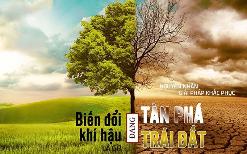 AI giải quyết biến đổi khí hậu giúp dự đoán thời tiết để bảo vệ môi trường