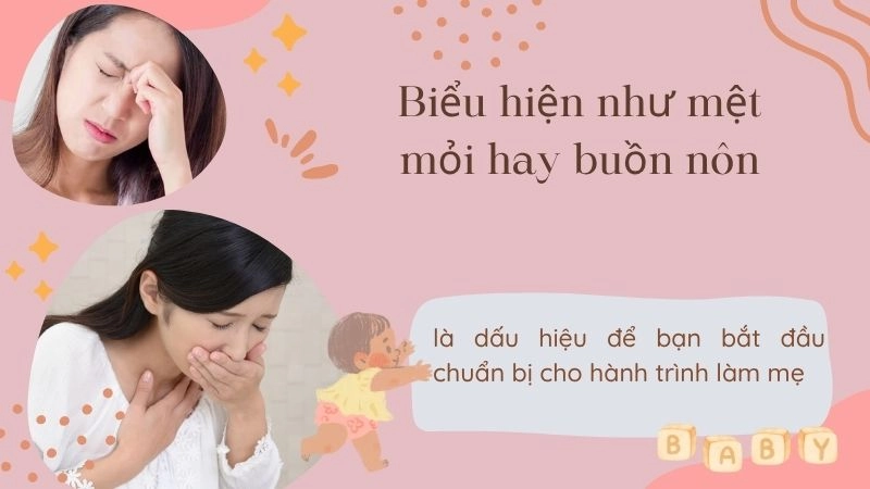 Biểu hiện như mệt mỏi hay buồn nôn là dấu hiệu để bạn bắt đầu chuẩn bị cho hành trình làm mẹ