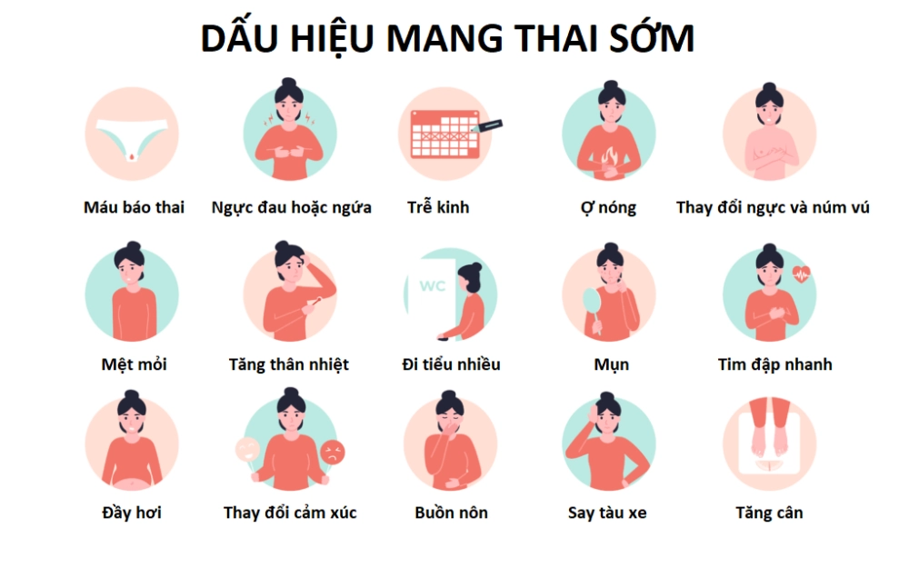 Các dấu hiệu mang thai sớm giọt máu, biểu tượng mệt mỏi, đau ngực, nhận biết có thai.
