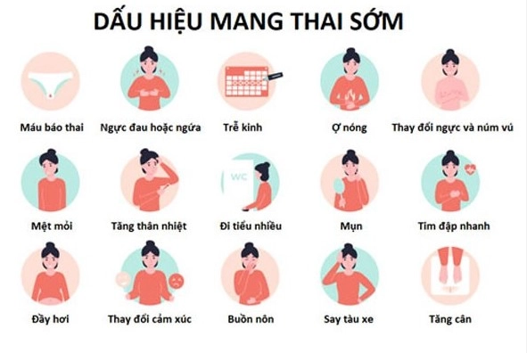 Các dấu hiệu nhận biết cơ thể thay đổi khi mang thai sớm 