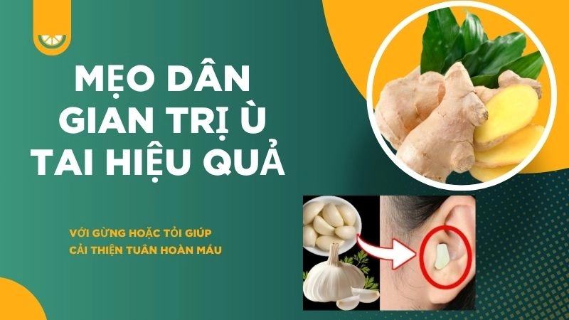 Mẹo dân gian trị ù tai hiệu quả với gừng hoặc tỏi giúp cải thiện tuần hoàn máu