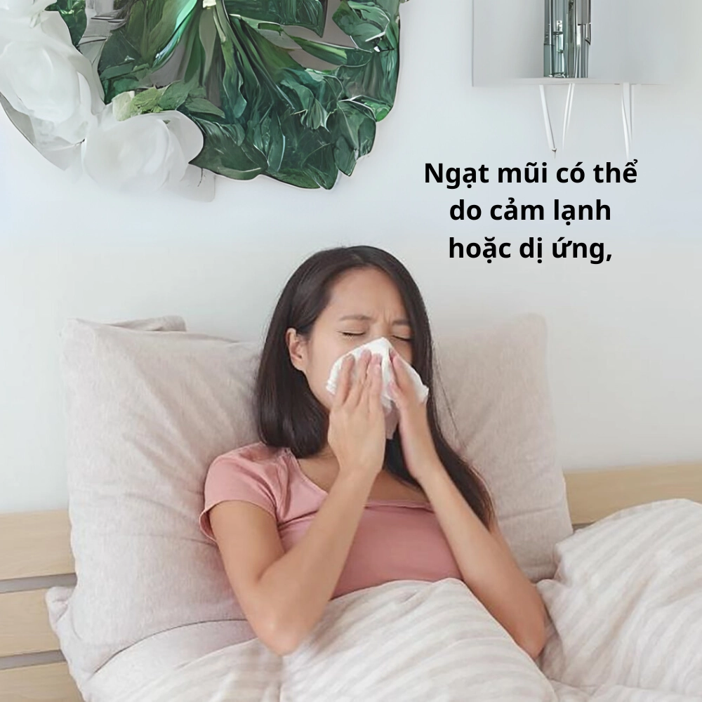 Ngạt mũi có thể do cảm lạnh hoặc dị ứng, nhưng bạn có thể xử lý nhanh chóng!