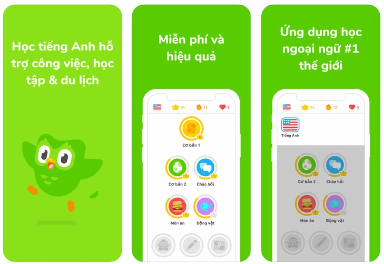 ứng dụng Duolingo giúp việc học trở nên thú vị hơn.