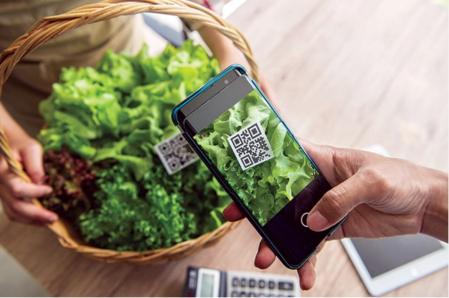  Đảm bảo an toàn thực phẩm công nghệ nhờ blockchain và cảm biến.