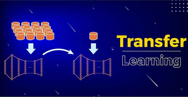 So sánh giữa tinh chỉnh và trích xuất đặc trưng trong ứng dụng transfer learning