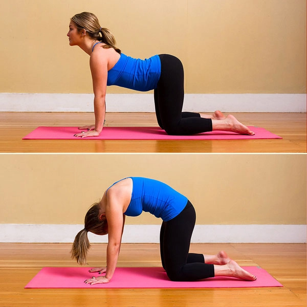 Thực hiện bài tập yoga tư thế mèo-bò, mẹo nắm sương sống chữa thần kinh tọa thông qua vận động nhẹ.