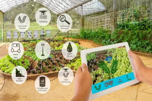 AI trong Nông Nghiệp: Tăng 50% Năng Suất với Công Nghệ Thông Minh