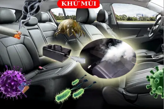 10 Mẹo Khử Mùi Hôi Trong Xe Hiệu Quả Khiến Bạn Bất Ngờ!