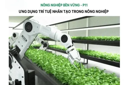 AI trong nông nghiệp.Cách mạng hóa canh tác hiện đại