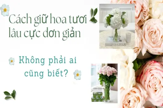 Giữ hoa tươi lâu bằng nước súc miệng! bí quyết bất ngờ cho bình hoa rực rỡ