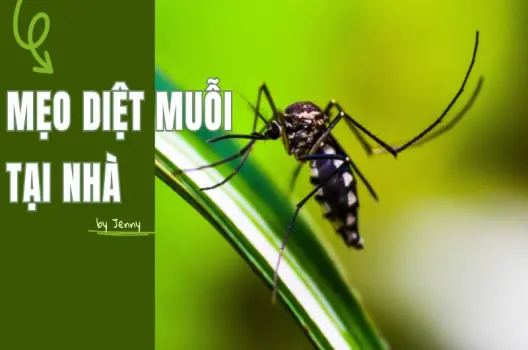 Mẹo vặt diệt muỗi bảo vệ gia đình khỏi "kẻ thù" đáng ghét!