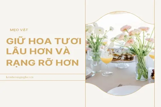 Mẹo giữ hoa tươi lâu biến bó hoa bền đẹp rạng rỡ