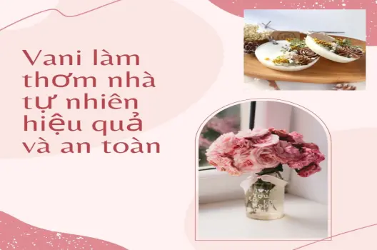 Cách dùng vani làm thơm nhà tự nhiên hiệu quả và an toàn