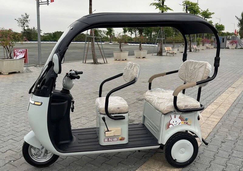  Xe điện 3 bánh có mái che trên đường phố đô thị
